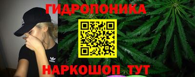 гидра Беслан