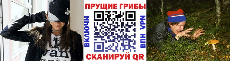 Псилоцибиновые грибы мицелий  Химки 