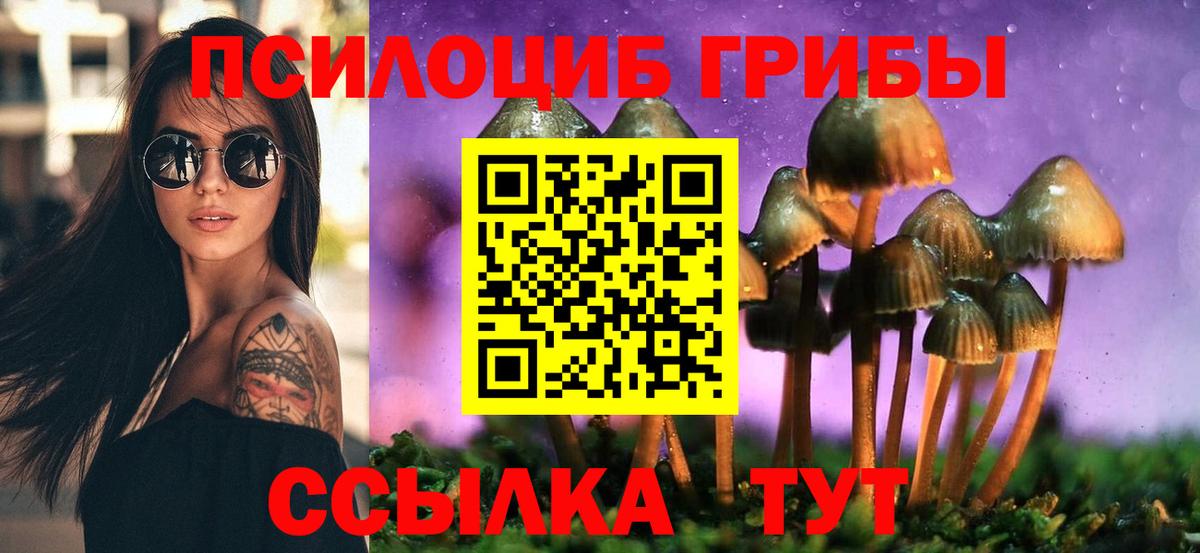Галлюциногенные грибы GOLDEN TEACHER  Галлюциногенные грибы Cubensis  Химки  Вход с VPN 