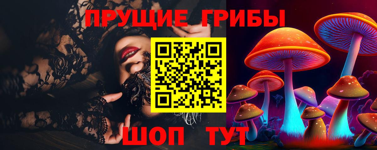 Галлюциногенные грибы Cubensis Химки